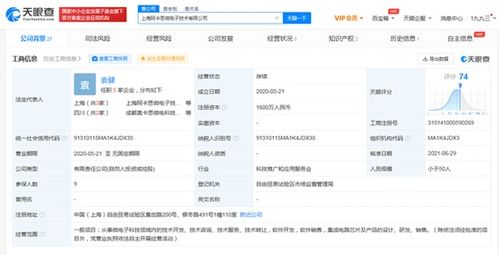 華為入股芯片設(shè)計(jì)公司，深化集成電路產(chǎn)業(yè)鏈布局